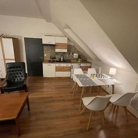 Francis Apartment - Lazenske Centrum Karlovy Vary Exterior foto