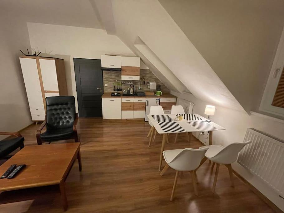 Francis Apartment - Lazenske Centrum Karlovy Vary Exterior foto